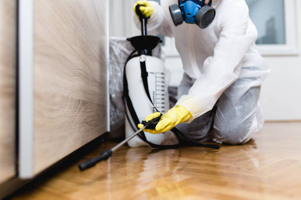 Best Ant Control Services  in North Brooksville, FL