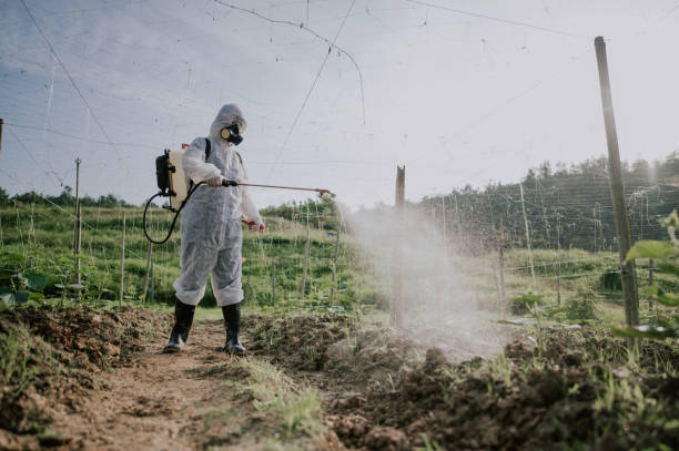 Best Mosquito Control Services  in North Brooksville, FL