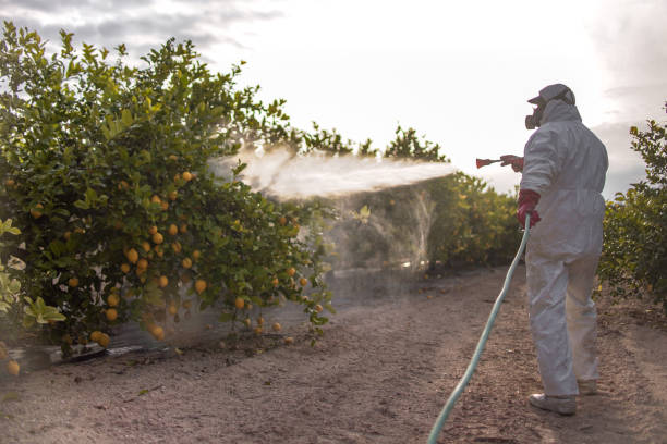 Best Spider Control Near Me  in North Brooksville, FL