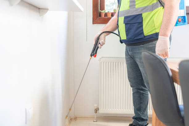 Best Wasp Removal Services  in North Brooksville, FL