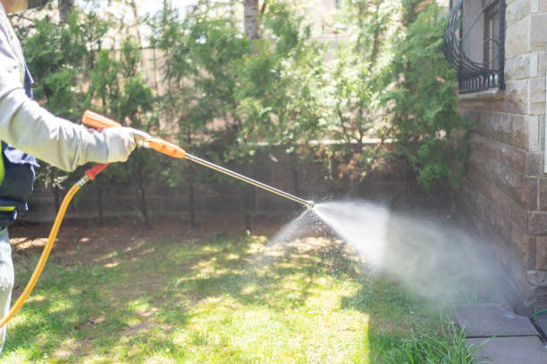 Best Affordable Pest Control Services  in North Brooksville, FL