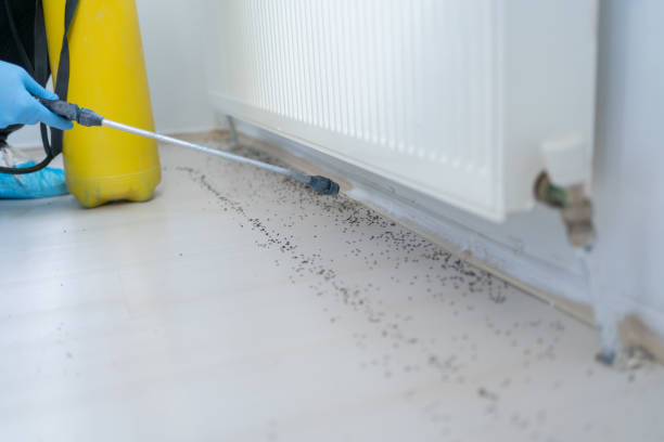 Best Commercial Pest Control Services  in North Brooksville, FL